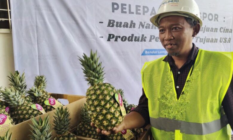 Manfaat cuka nanas untuk keseimbangan tubuh juga efek sampingnya